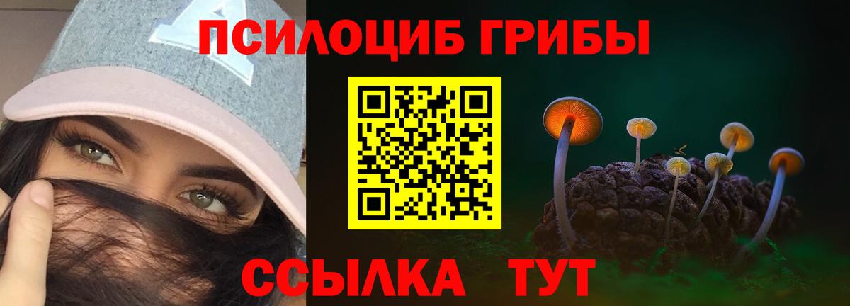 Галлюциногенные грибы GOLDEN TEACHER  Псилоцибиновые грибы прущие грибы  Вход с VPN  Медногорск 