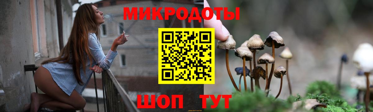 Псилоцибиновые грибы Cubensis Медногорск